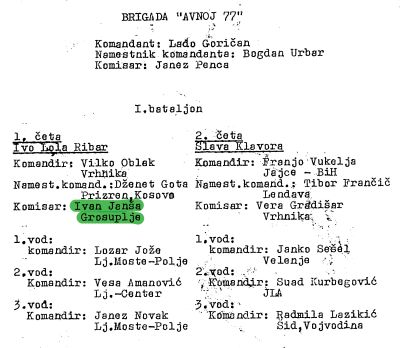 Politični komisar brigade na pohodu