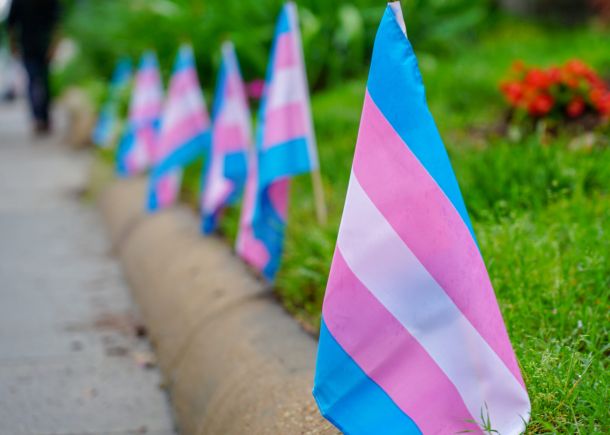 Barve zastave, ki zastopajo transspolne osebe