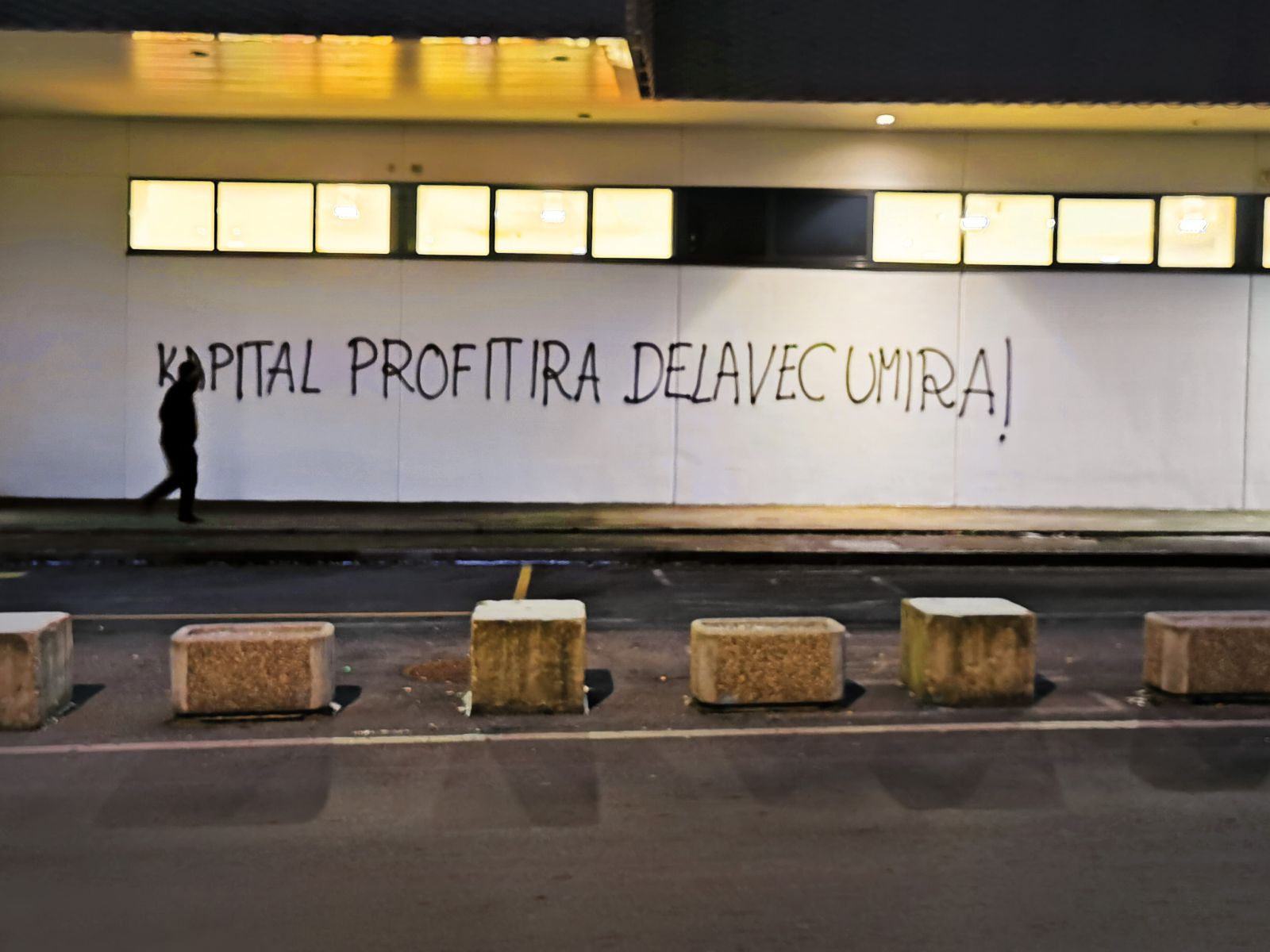 Ljubljanski grafit