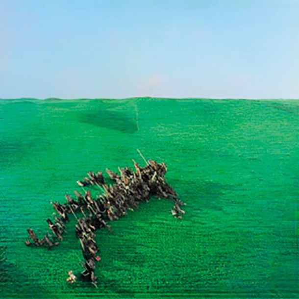 Squid: Bright Green Field