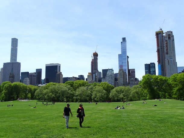 Central Park v New Yorku