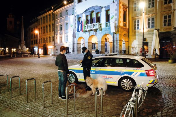 Kaznovanje sprehajalca kužkov, ki se je znašel na ljubljanskih ulicah po deveti zvečer. Protiustavno kaznovanje.