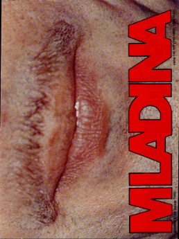 Mladina 2/1993