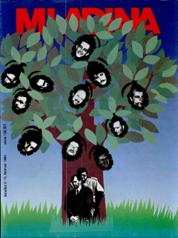 Mladina 6/1993
