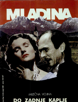 Mladina 19/1993