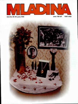 Mladina 25/1993
