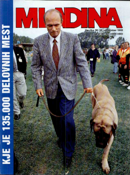 Mladina 38/1993