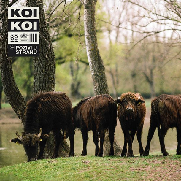 KOIKOI: Pozivi u stranu