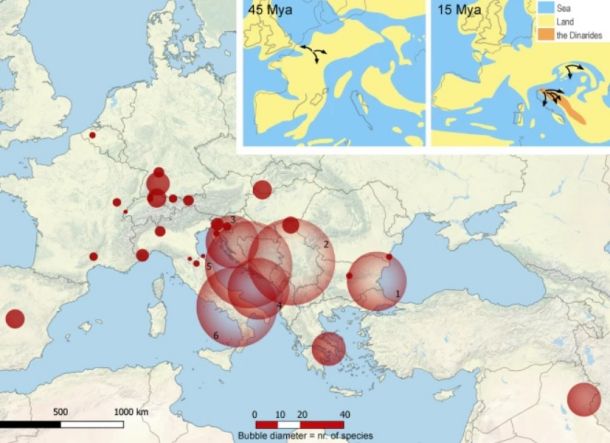 Fosilni dokazi pričajo o cvetenju vrstne pestrosti v takratni Evropi. Kasnejše geološke in klimatske spremembe so povzročile izumrtje večine skupin in danes velja prepričanje, da je Evropa biodiverzitetno precej dolgočasen kontinent, je zapisano na spletni strani BF..