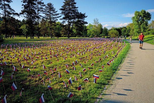 Več kot 4 tisoč slovenskih zastavic v spomin na umrle v epidemiji v ljubljanskem parku Tivoli. 1 junij 2021 /