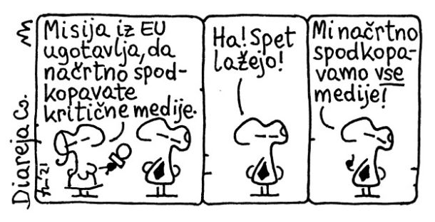 »Mi načrtno spodkopavamo vse medije!«