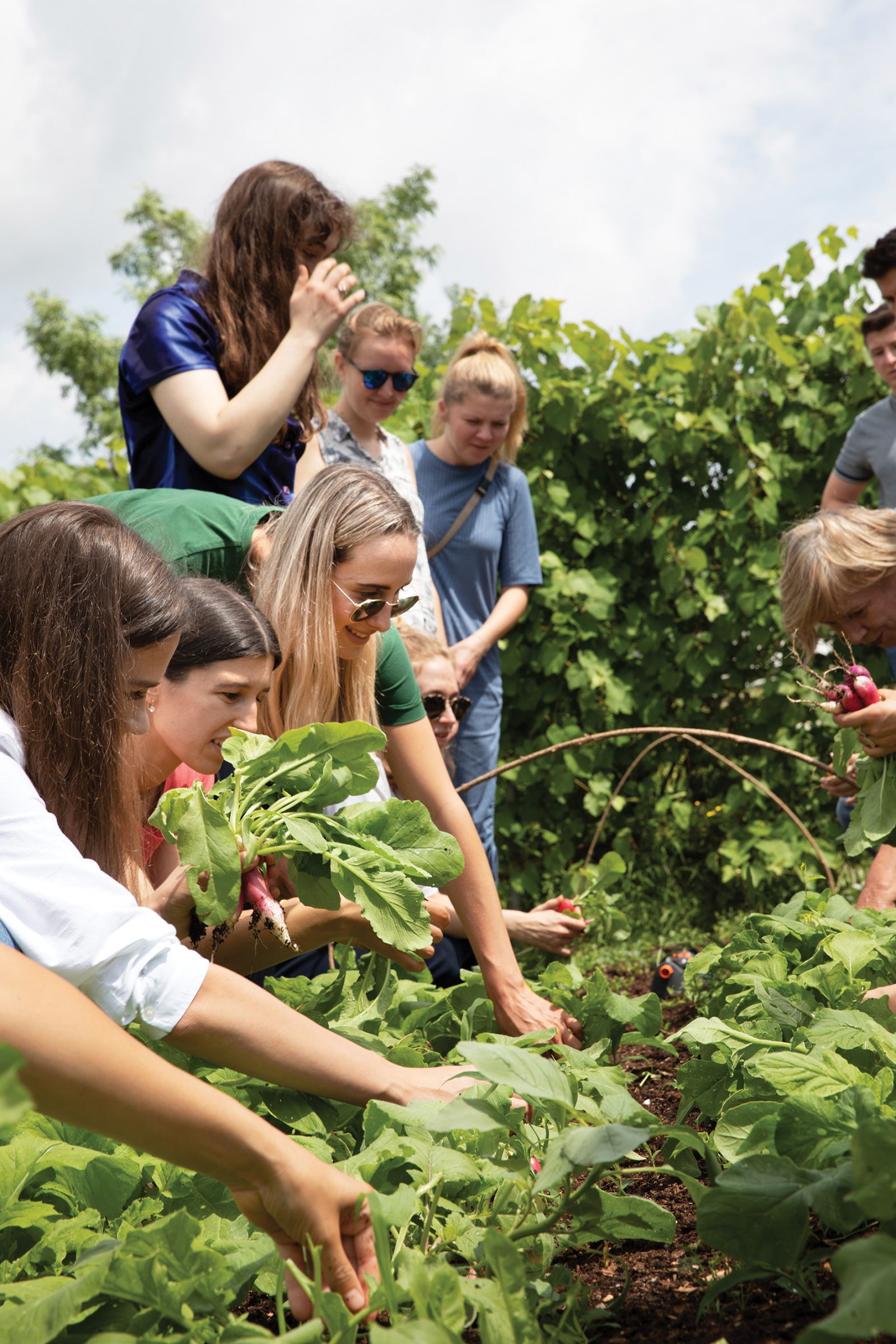 Učna ura poljedelstva je potekala na vrtu, kjer zelenjavo gojijo skrbniki restavracije Atelje – edine ljubljanske restavracije z Michelinovo zvezdico. 