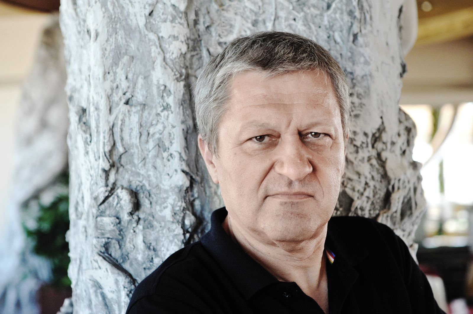 Dragan Velikić