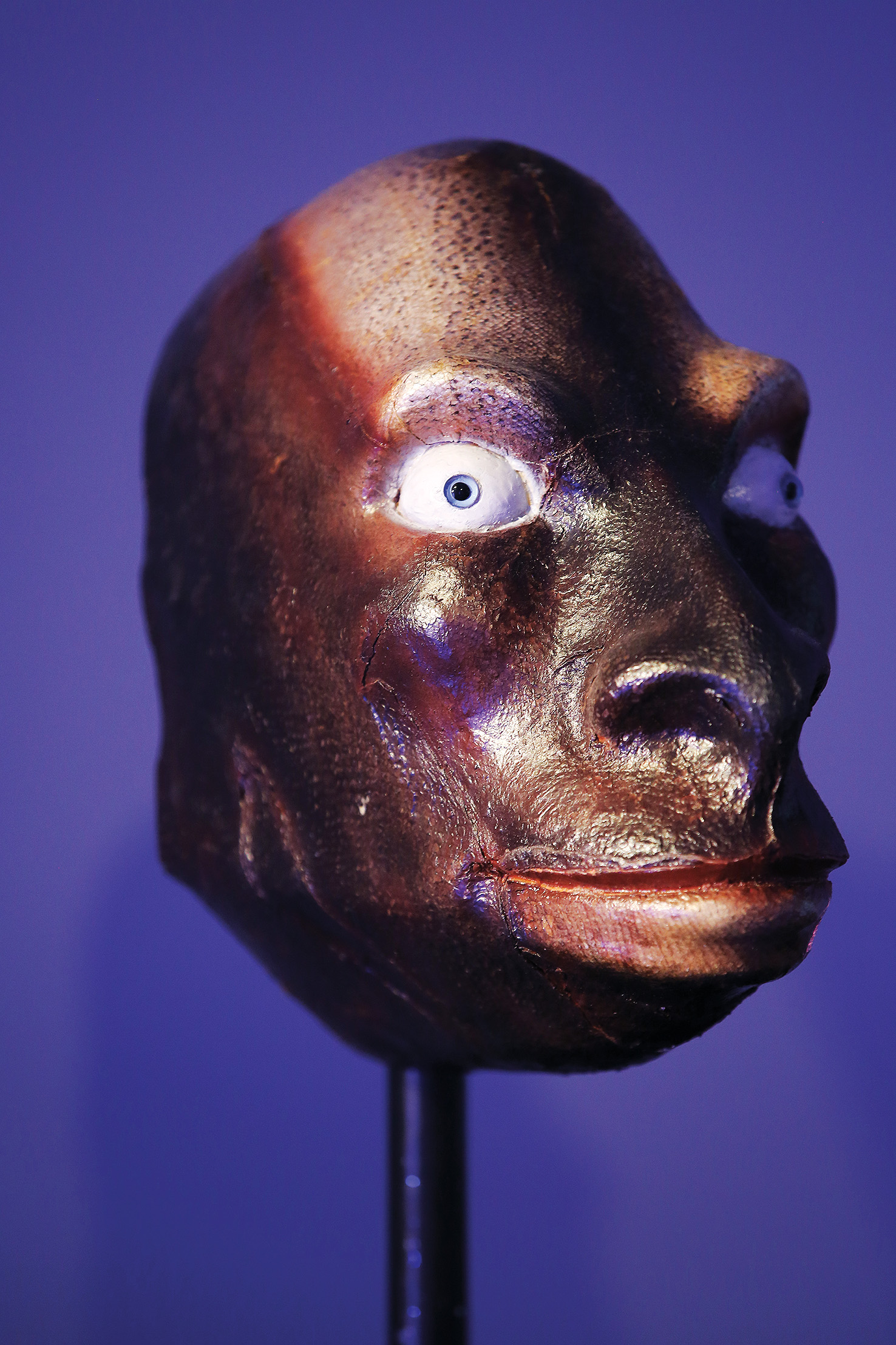 Portret enega izmed prebivalcev Katastropolisa, glavnega mesta civilizacije Plastosov, znanstvenofantastičnega projekta Marka A. Kovačiča.