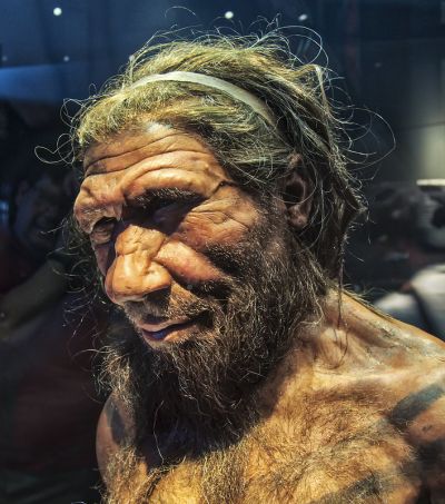 Neandertalec v londonskem muzeju zgodovine narave