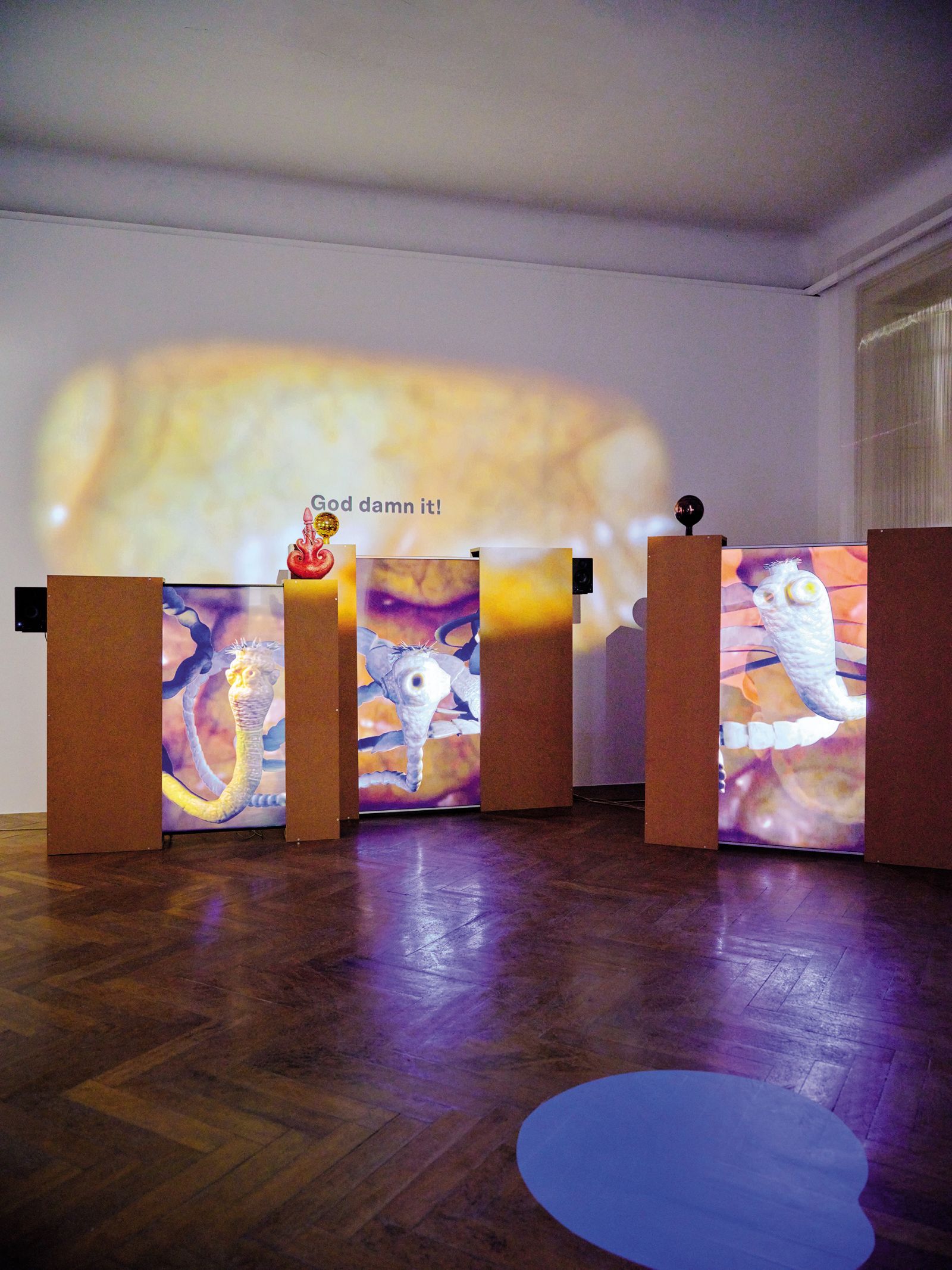 Videoinstalacija češkega umetnika Jakuba Janse, oziroma njegova »absurdna povest o izmišljeni zaroti trakulj«, naj bi »prebavljala kolektivno travmo in temo duhovnosti«.