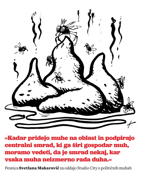 Kadar pridejo muhe na oblast ... 