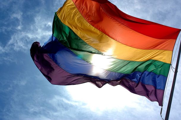 Uspeh slovenske LGBT+ literature za otroke in mladino 