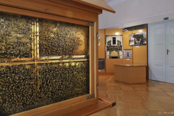 Čebelarski muzej Radovljica
