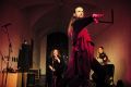 Trio A Cuerdas (Mitja Obed, Marta Kolega & Petra Onderufova): Dvocikel koncert, ŠKUC, LJ 