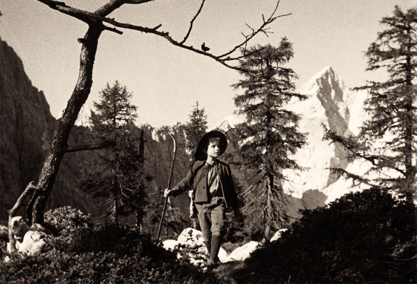 Kekec, ki ga je po zgodbah Josipa Vandota leta 1951 posnel Jože Gale, je bil himna pogumnemu, neustrašnemu, heroičnemu, osvobodilnemu individualizmu: Kekec pač vse stori sam.