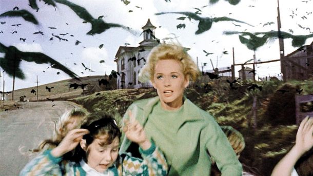 Tippi Hedren v filmu Ptiči Alfreda Hitchcocka iz leta 1963