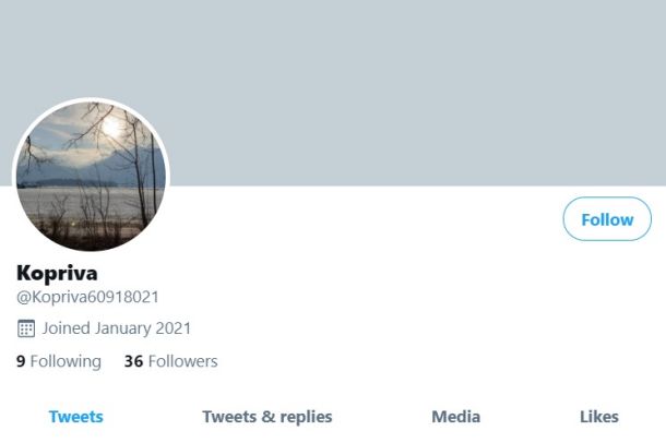Profil Kopriva je bil na Twitterju ustvarjen januarja letos