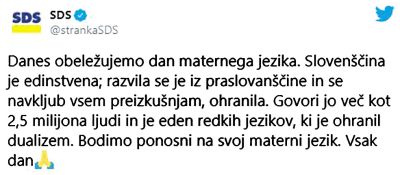 Prvi poskus spletne SDS: Dualizem