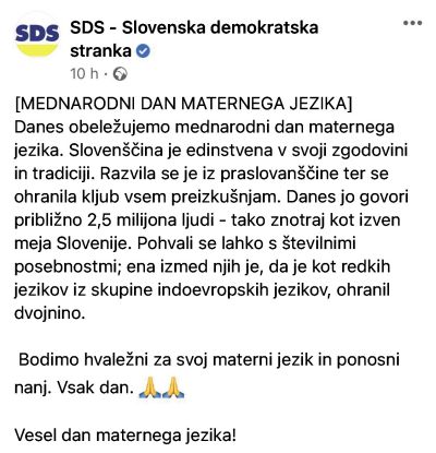 Tretji poskus spletne SDS: Dvojnina