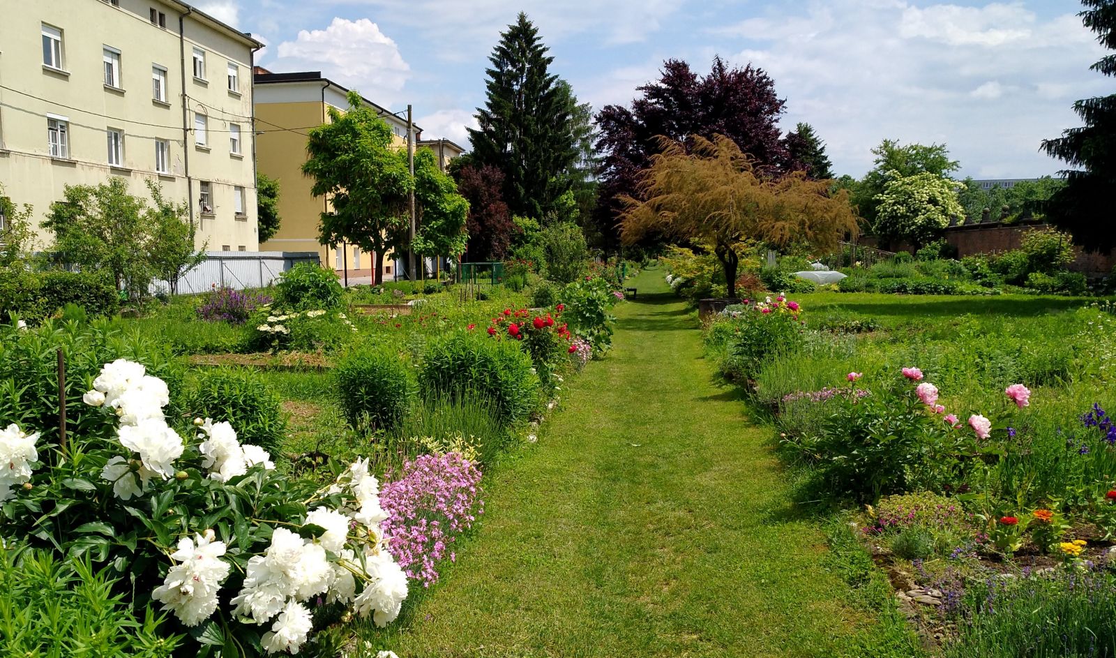 Fondovi vrtovi poleti