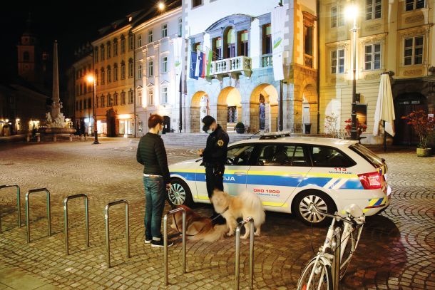 Oglobljeni sprehajalec psov, ker je po 21. uri sprehajal psa. Policijska ura je trajala 174 dni, kar je skoraj največ v EU.  