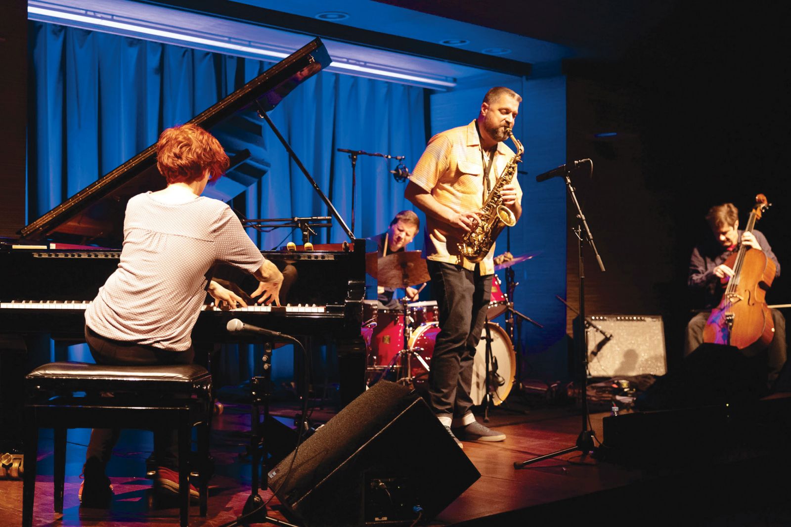 Elisabeth Harnik Earscratcher, Defonija, Cankarjevi torki, Cankarjev dom, LJ | Nada Žgank