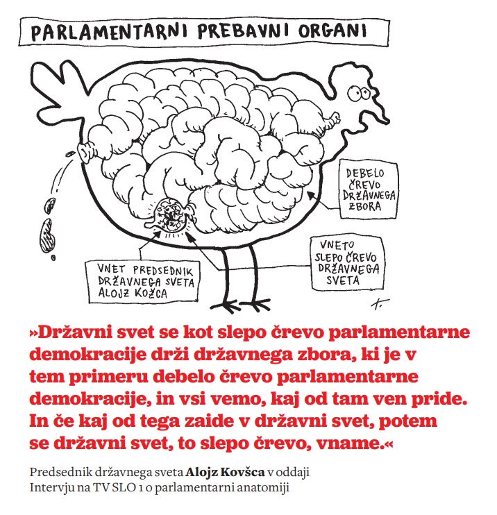 Slepo črevo parlamentarne demokracije