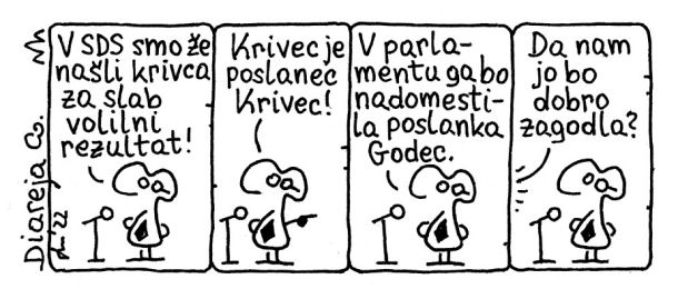 V SDS našli krivca za slab volilni rezultat