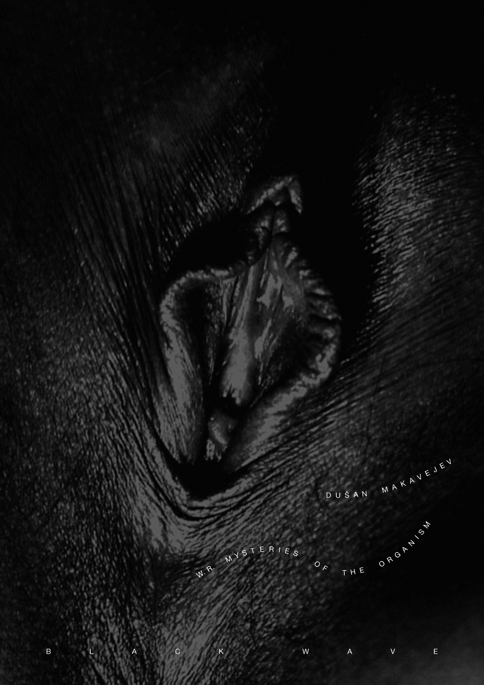 Filmski plakat, Mirko Ilić, New York W. R. Mysteries of the Organism, Dušan Makavejev Digitalni print, 100 x 70 cm, 2016