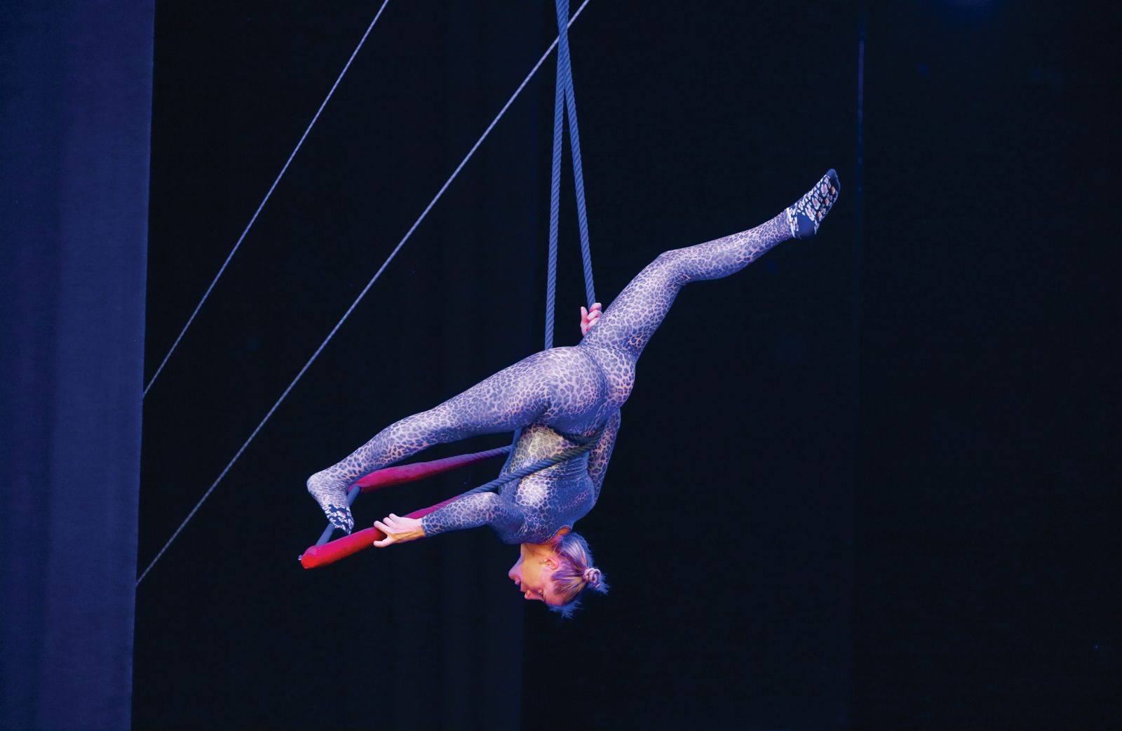 Cirkus Fuskabo: Lahko noč (SI), festival Klovnbuf, Kongresni trg, LJ | Sunčan Stone