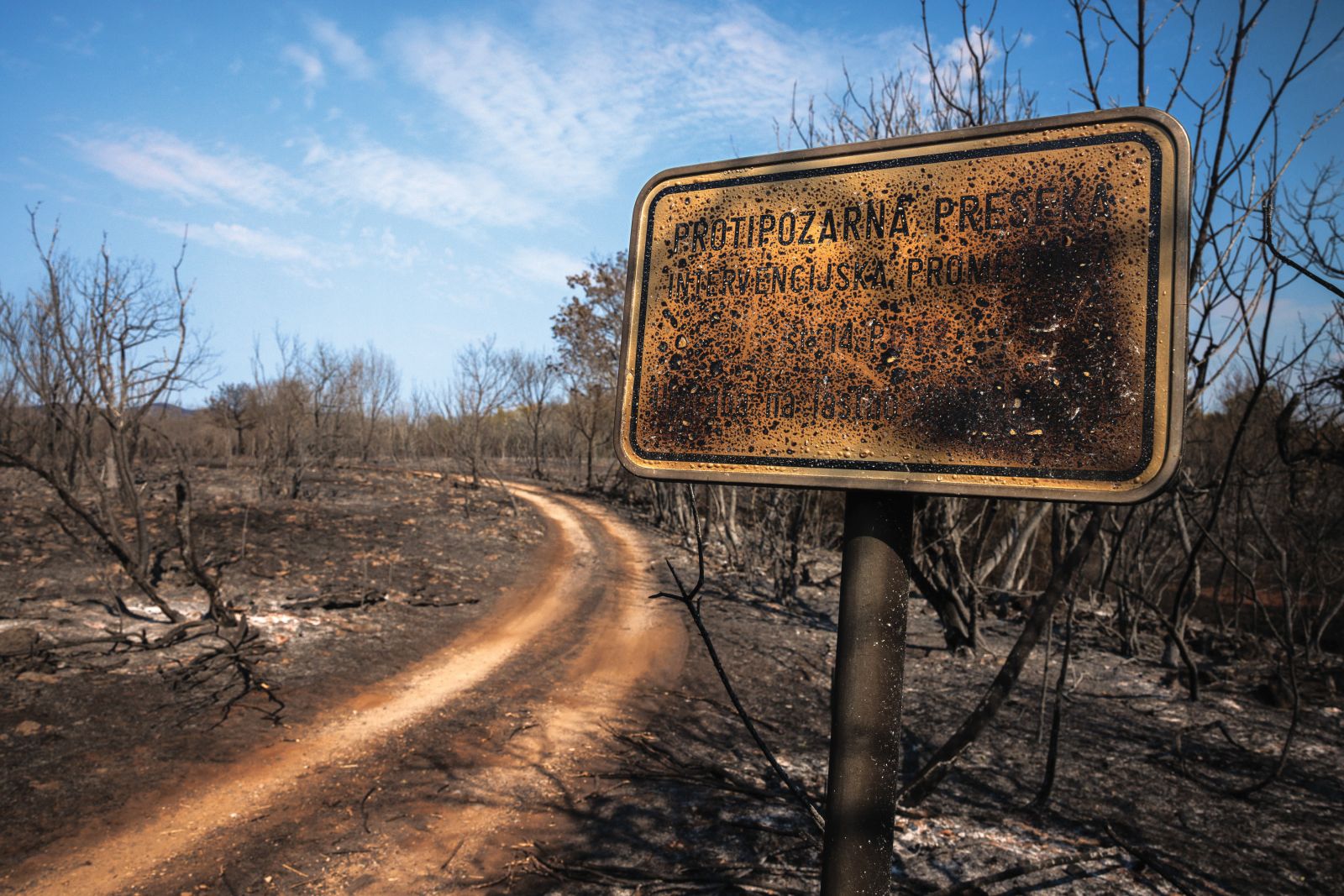 Ožgana oznaka protipožarne preseke pri Selih na Krasu, 24. 7. 2022