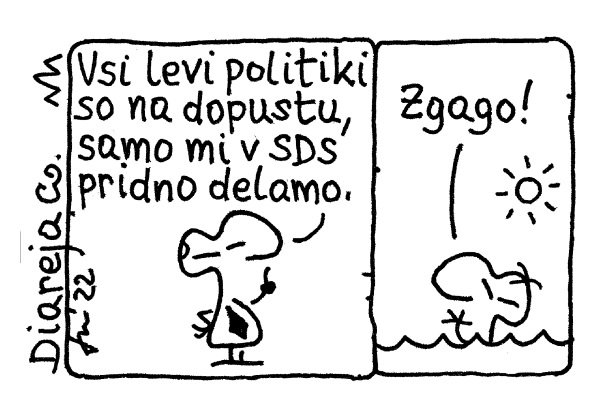»Samo mi v SDS pridno delamo!«