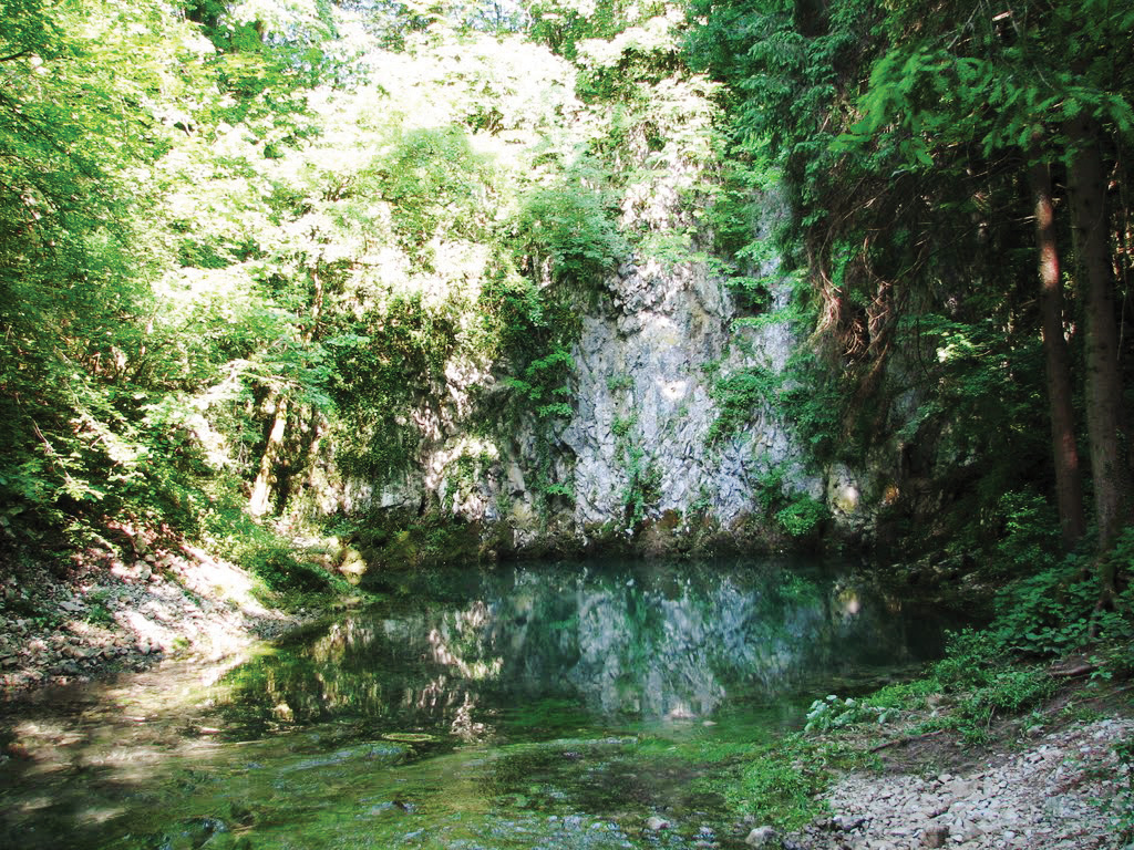 Vodni krog ima sicer izjemno sposobnost obnavljanja, a ta ima svojo mejo. Kje točno je, si ne želi izvedeti nihče. Gotovo pa bo potrebno veliko padavin, da si bodo vodotoki opomogli in da se na primer izvir Ljubljanice (Retovje) vrne v stanje na fotografiji.