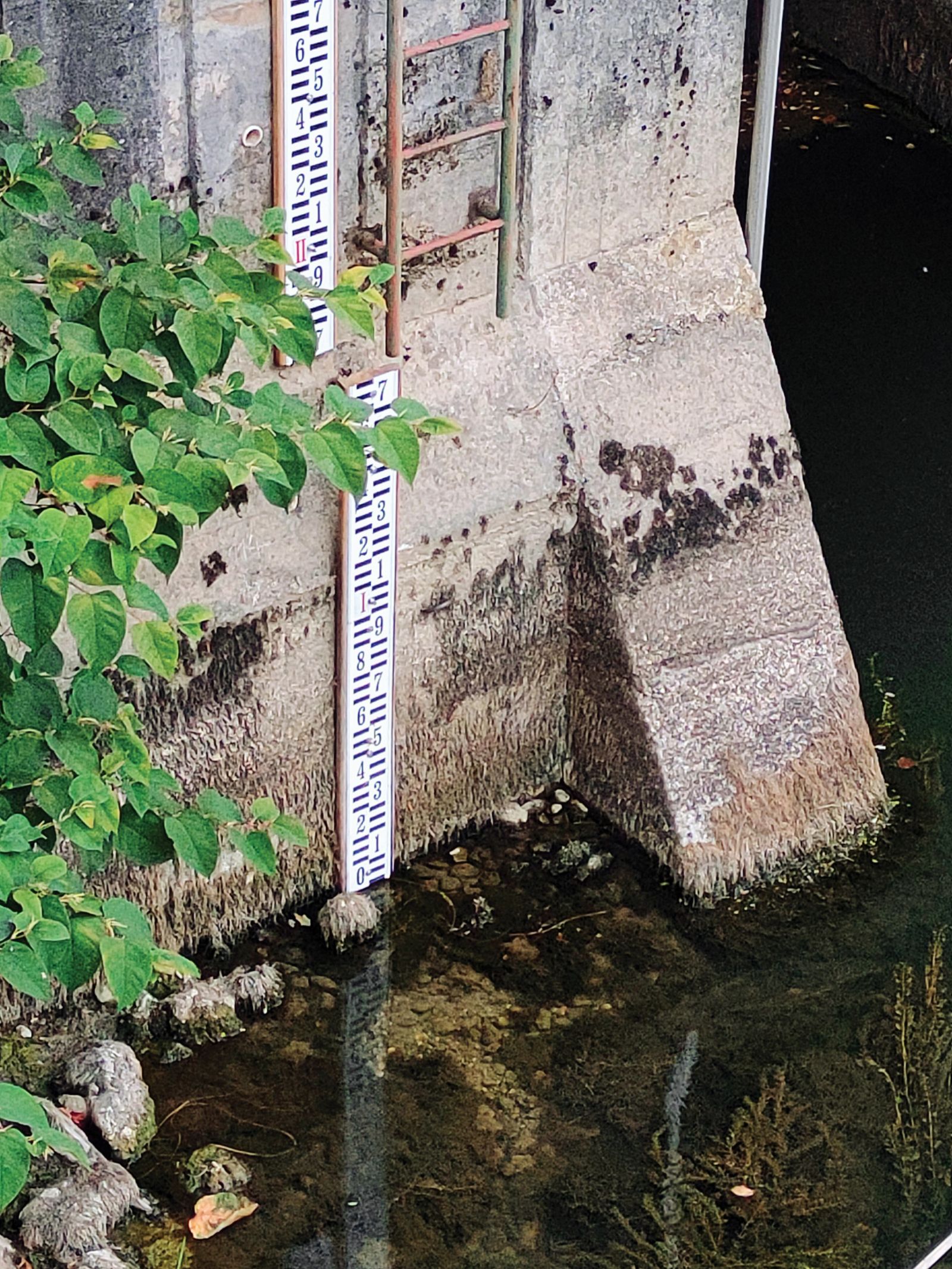 Vodostaj Ljubljanice je na vrednosti 0. To se je v Ljubljani sicer že zgodilo konec avgusta 2012 in 2003, a tokrat je tako nizek vodostaj nastopil mesec dni prej kot v tistih dveh letih.
