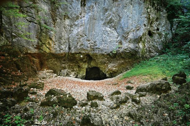 Suša na površju se pozna tudi v globini. Številni izviri so presahnili, raven podtalnice pa počasi upada. Za zdaj je pitne vode sicer dovolj, toda kaj bo, če reke presahnejo? Na fotografiji izvir Ljubljanice (Retovje).