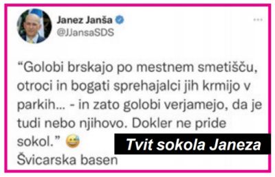 Tvit sokola Janeza