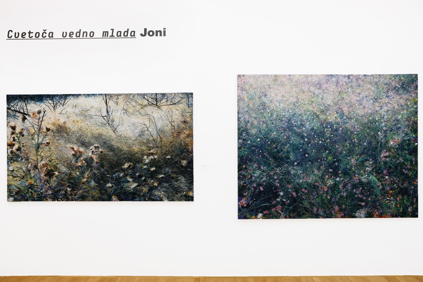 Faux pás gostujočega kustosa Andreja Medveda