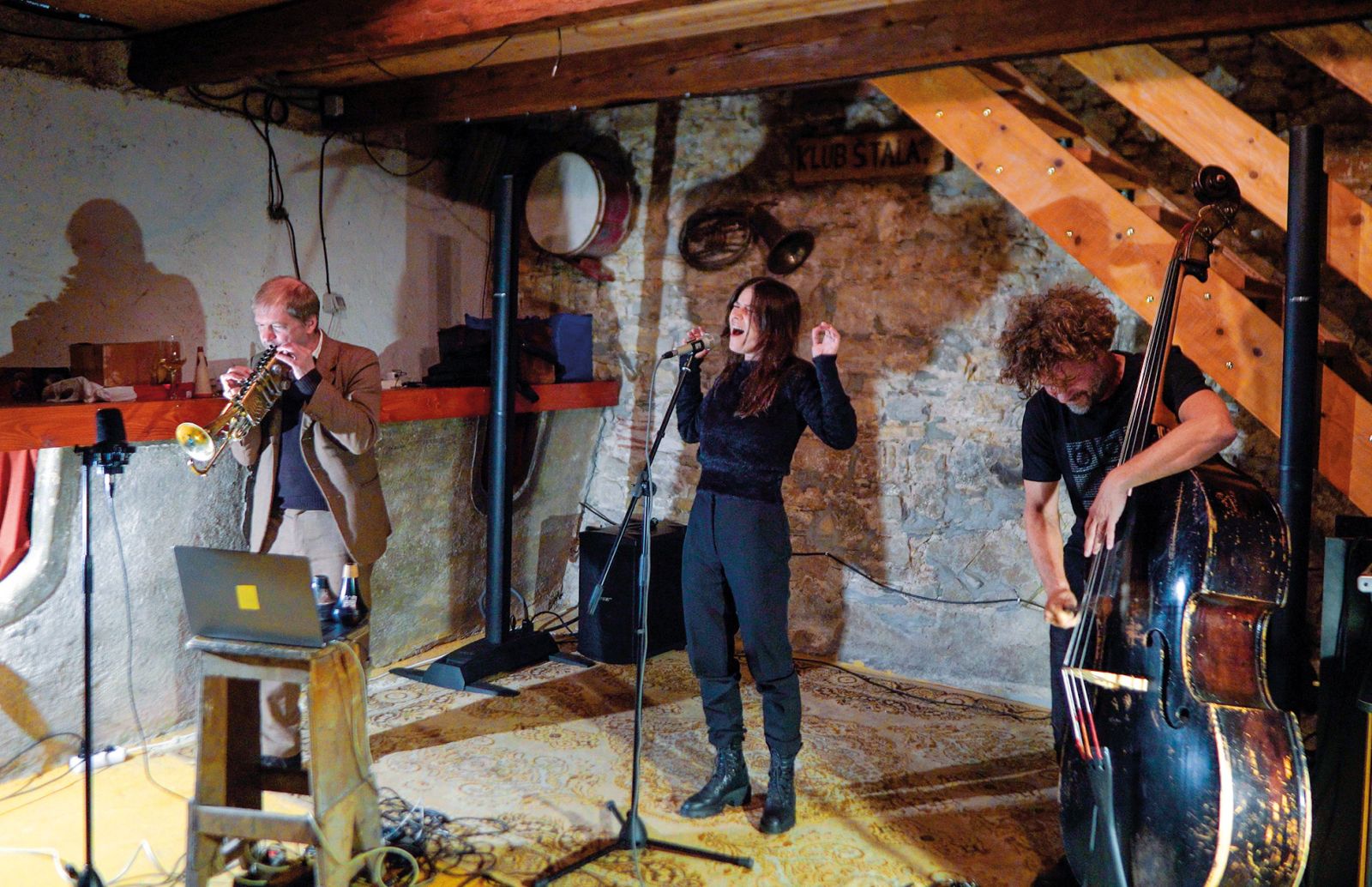 Fruit Of The Loop (Vesna Pisarović, Axel Doerner, Tomaž Grom); Štala, Lokavec | Špela Trošt