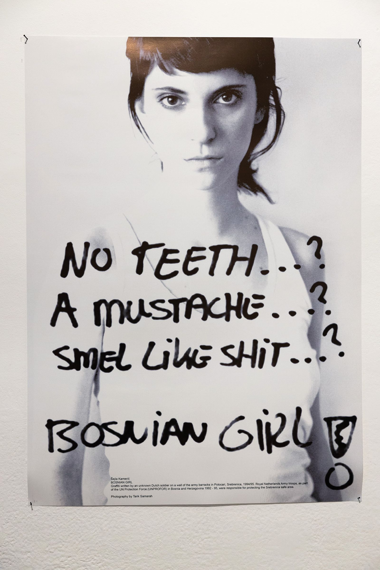 V Galeriji Škuc je na ogled tudi znano delo Šejle Kamerić Bosnian Girl, ki temelji na rasističnem in seksističnem grafitu neznanega nizozemskega vojaka v Srebrenici.