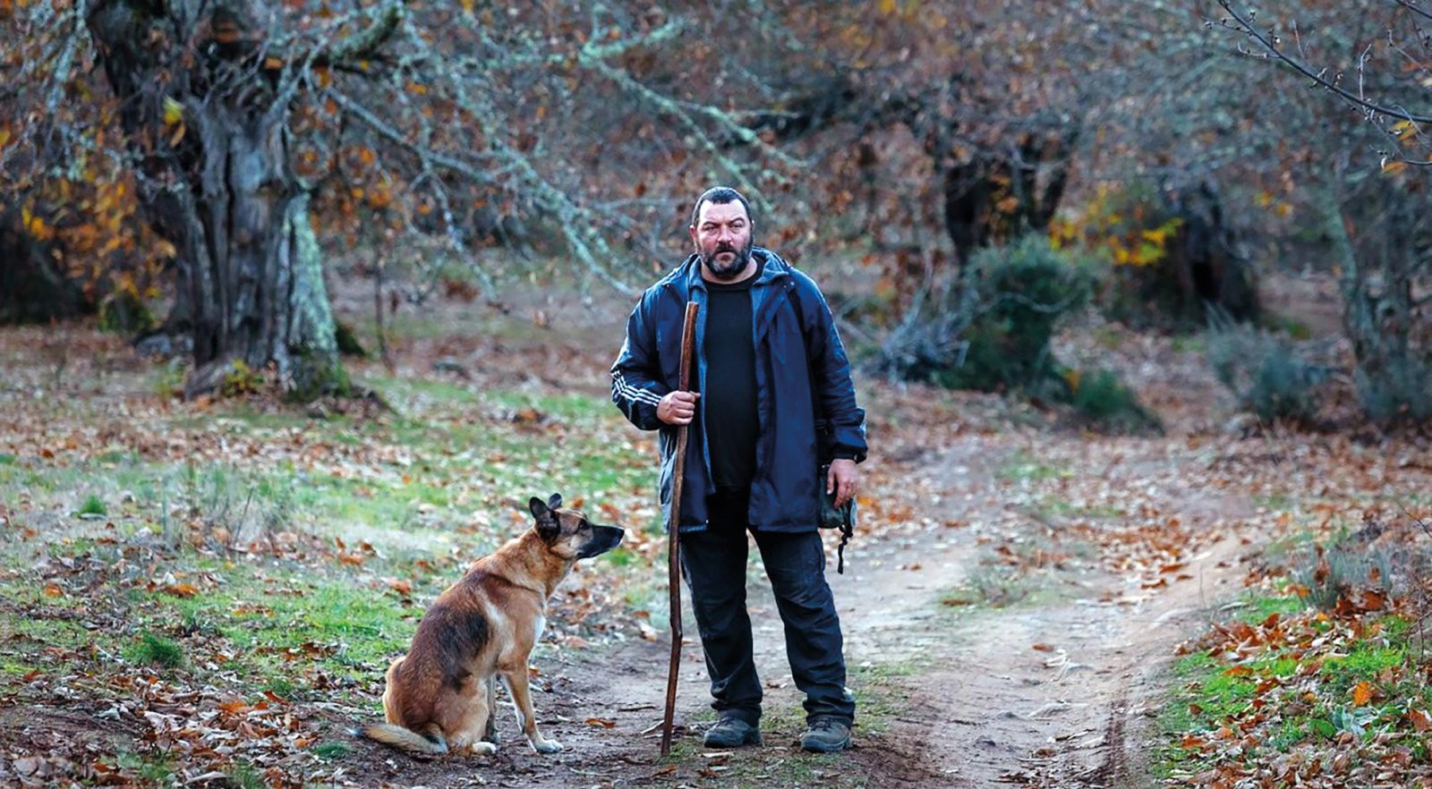 V filmu Zveri se galicijska vas prelevi v bojišče, ko se vanjo preseli meščanski par, v očeh domačinov gre za ošabno elito, ki se jim posmehuje.