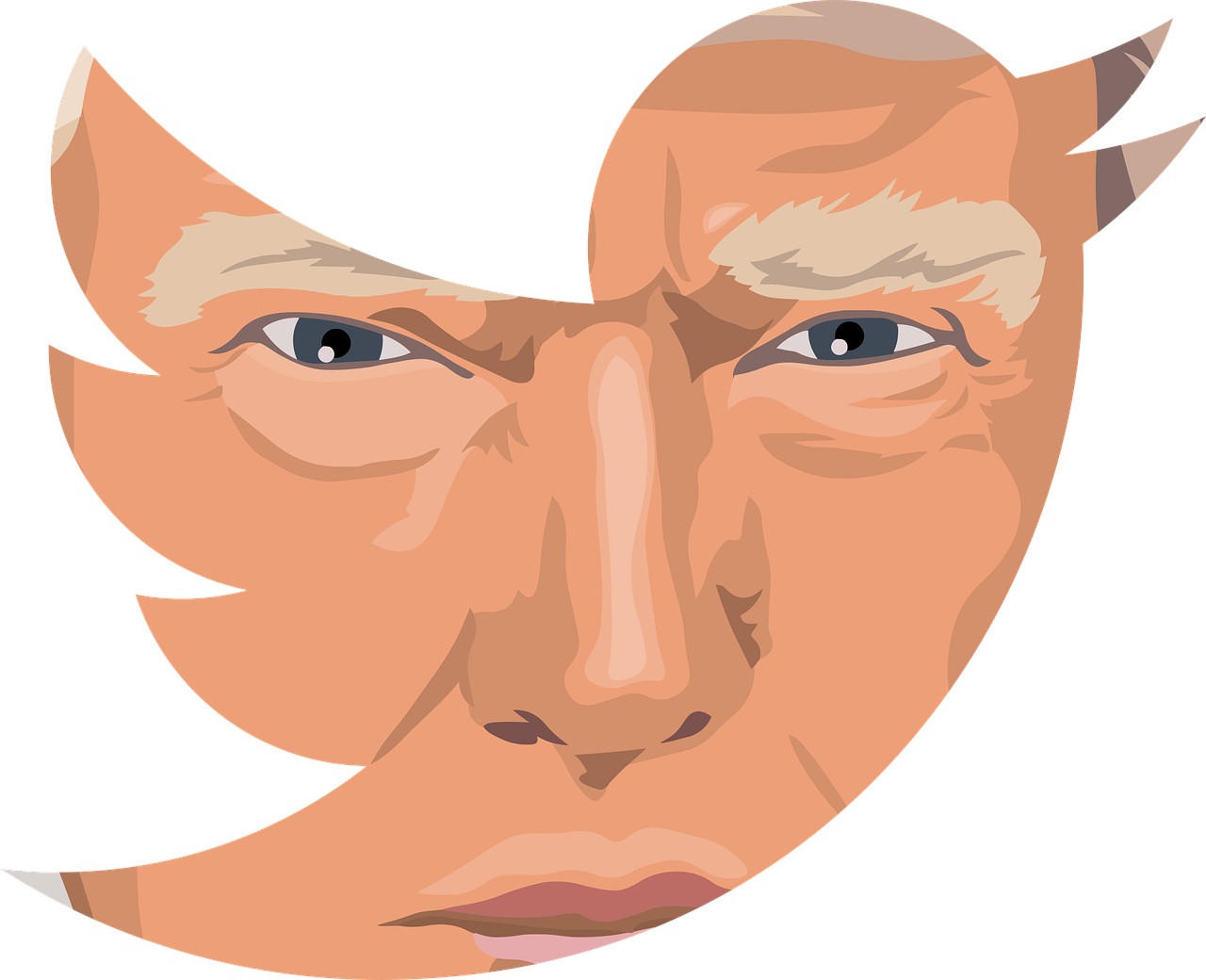 Se Donald Trump vrača na Twitter?