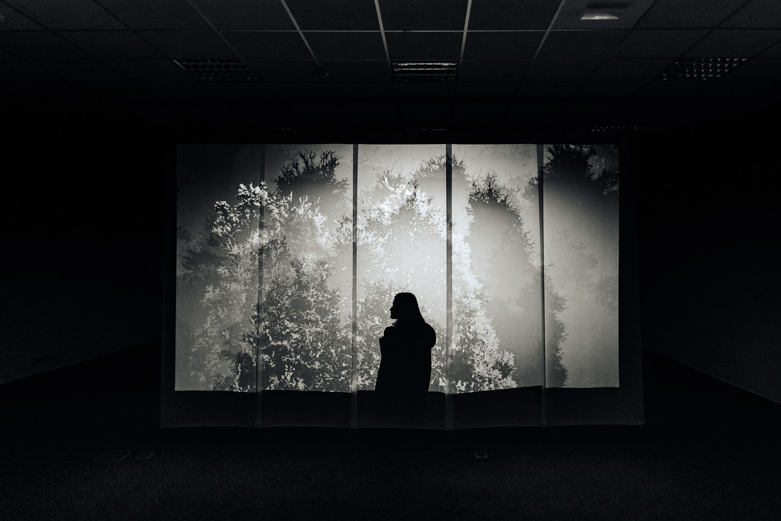 Tina Konec / Evergreen, UGM Studio, MB | Sara Rezar
