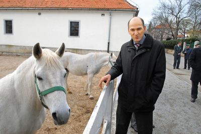 Janez in podarjeni konj