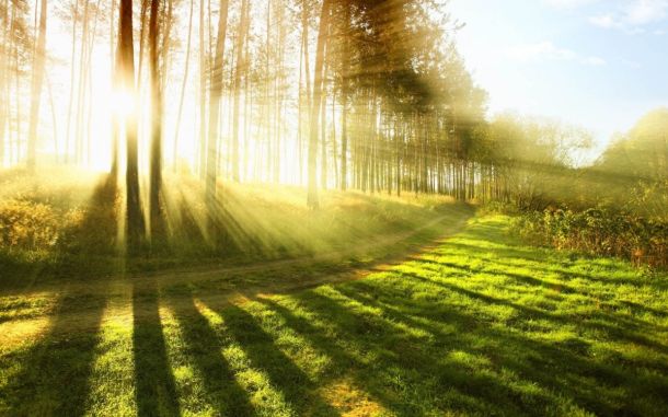 Za vitamin D je sicer po navedbah inštituta znano, da je pomemben za zdravje okostja, medtem ko se o njegovem pomembnem vplivu na delovanje imunskega sistema v javnosti več govori šele v zadnjih letih. Ob zadostni izpostavljenosti dovolj intenzivni sončni svetlobi nastaja v človeški koži, medtem ko se od novembra do aprila zaradi nizke intenzitete UV-B sončnih žarkov v našem geografskem območju ta proces praktično ustavi, ne glede na to, koliko smo izpostavljeni zimskemu soncu, pojasnjujejo na inštitutu za nutricionistiko.